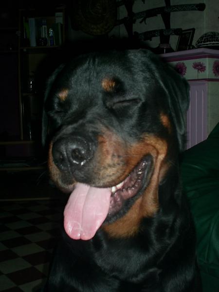 quel grimace